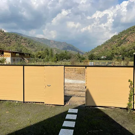 Ozvalley